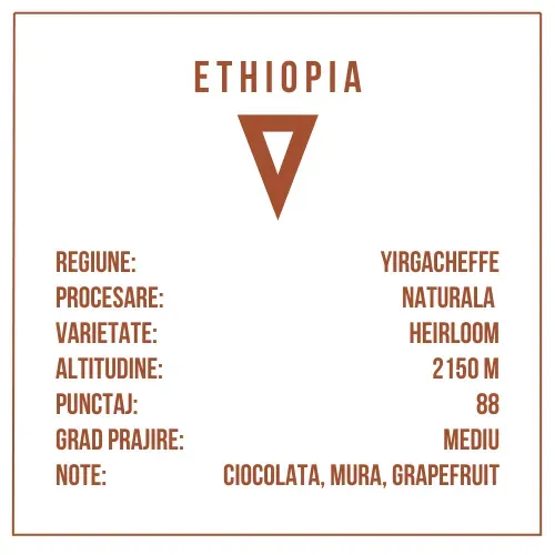 Ethiopia Yirgacheffe Aricha - 1 Kg image