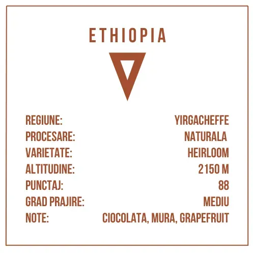Ethiopia Yirgacheffe Aricha - 250 g image